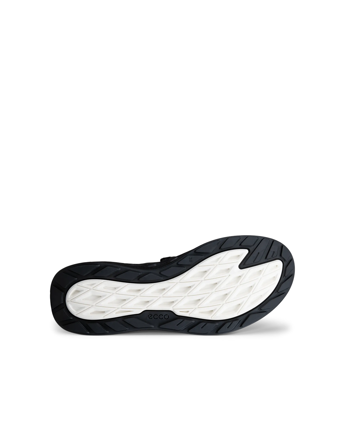 41